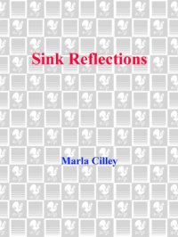 cover of the book Sink Reflections