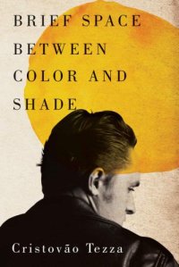 cover of the book Brief Space Between Color and Shade