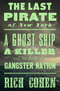 cover of the book The last pirate of New York: being the true story of albert hicks, the last pirate of New York