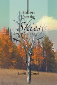 cover of the book Fallen from the Skies