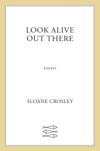 cover of the book Look Alive Out There