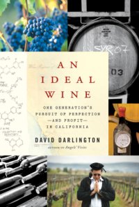 cover of the book An ideal wine: one generation's pursuit of perfection-- and profit-- in California