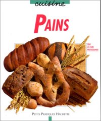 cover of the book Pains