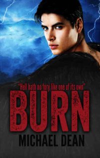 cover of the book Burn