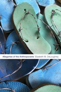 cover of the book Allegories of the Anthropocene