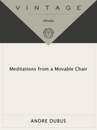 cover of the book Meditations from a movable chair: essays