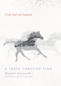 cover of the book A Train through Time