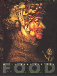 cover of the book Food: a Culinary History