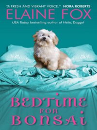 cover of the book Bedtime for Bonsai