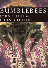 cover of the book Bumblebees