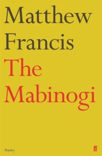 cover of the book The Mabinogi