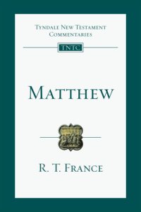 cover of the book Matthew: an introduction and commentary