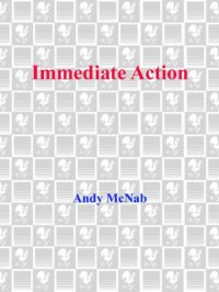 cover of the book Immediate Action