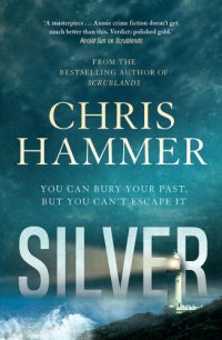 cover of the book Silver