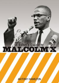 cover of the book A Rebel's Guide to Malcolm X