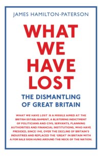 cover of the book What We Have Lost