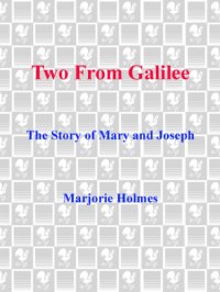 cover of the book Two From Galilee