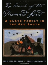 cover of the book In Search of the Promised Land: A Slave Family in the Old South