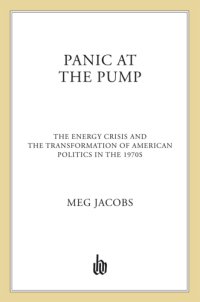 cover of the book Panic at the pump: the energy crisis and the transformation of American politics in the 1970s