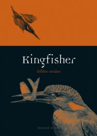 cover of the book Kingfisher