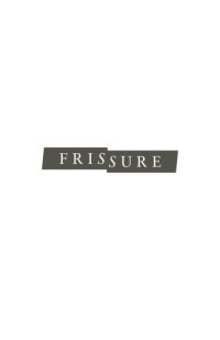 cover of the book Frissure: Prose Poems and Artworks