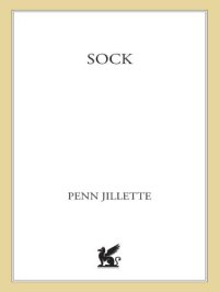 cover of the book Sock