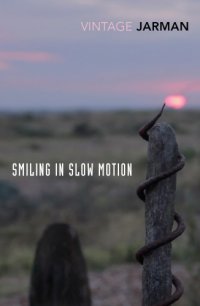 cover of the book Smiling in Slow Motion Journals, 1991-1994