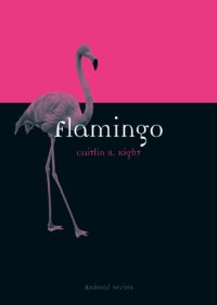 cover of the book Flamingo