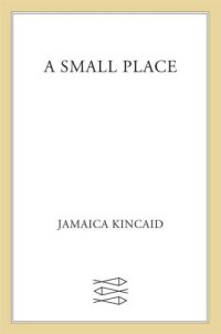 cover of the book A Small Place