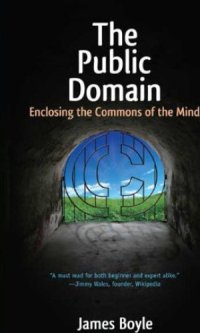 cover of the book The Public Domain: Enclosing the Commons of the Mind