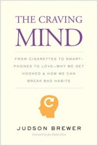 cover of the book The craving mind: from cigarettes to smartphones to love -- why we get hooked and how we can break bad habits