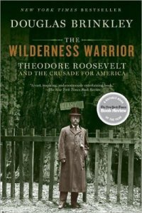 cover of the book The wilderness warrior: theodore roosevelt and the crusade for america