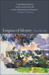 cover of the book Enigmas of Identity