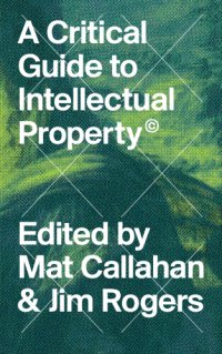 cover of the book A Critical Guide to Intellectual Property