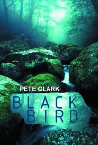 cover of the book Blackbird