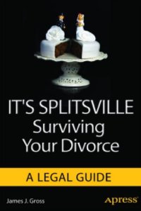 cover of the book It's splitsville surviving your divorce