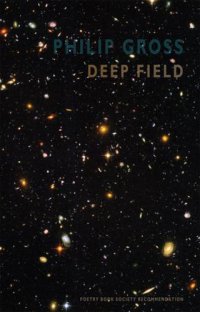 cover of the book Deep Field