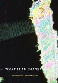 cover of the book What is an image?