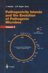 cover of the book Pathogenicity Islands and the Evolution of Pathogenic Microbes: Volume I