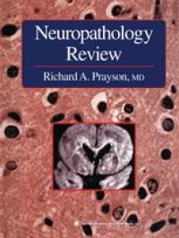 cover of the book Neuropathology Review