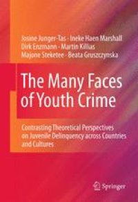 cover of the book The Many Faces of Youth Crime: Contrasting Theoretical Perspectives on Juvenile Delinquency across Countries and Cultures