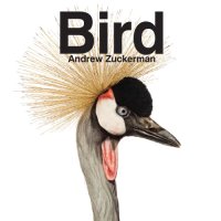 cover of the book Bird