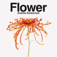 cover of the book Flower