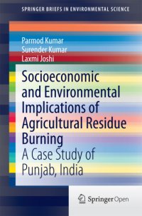 cover of the book Socioeconomic and Environmental Implications of Agricultural Residue Burning A Case Study of Punjab, India