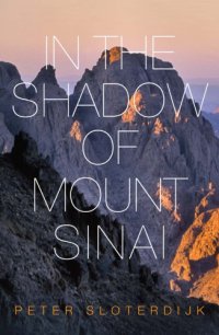 cover of the book In the Shadow of Mount Sinai