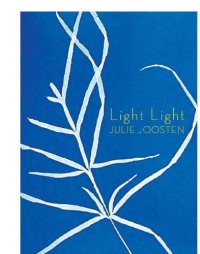 cover of the book Light Light