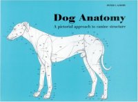 cover of the book Dog Anatomy