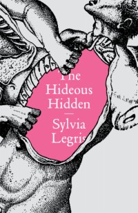 cover of the book The Hideous Hidden