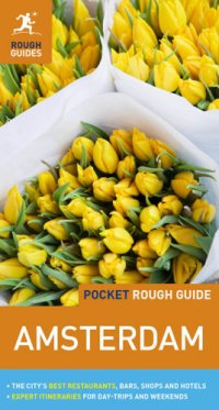 cover of the book Pocket Rough Guide Amsterdam