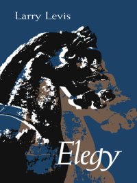 cover of the book Elegy